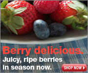 berries thumbnail web banner